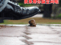 踩你空间