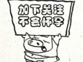 求关注